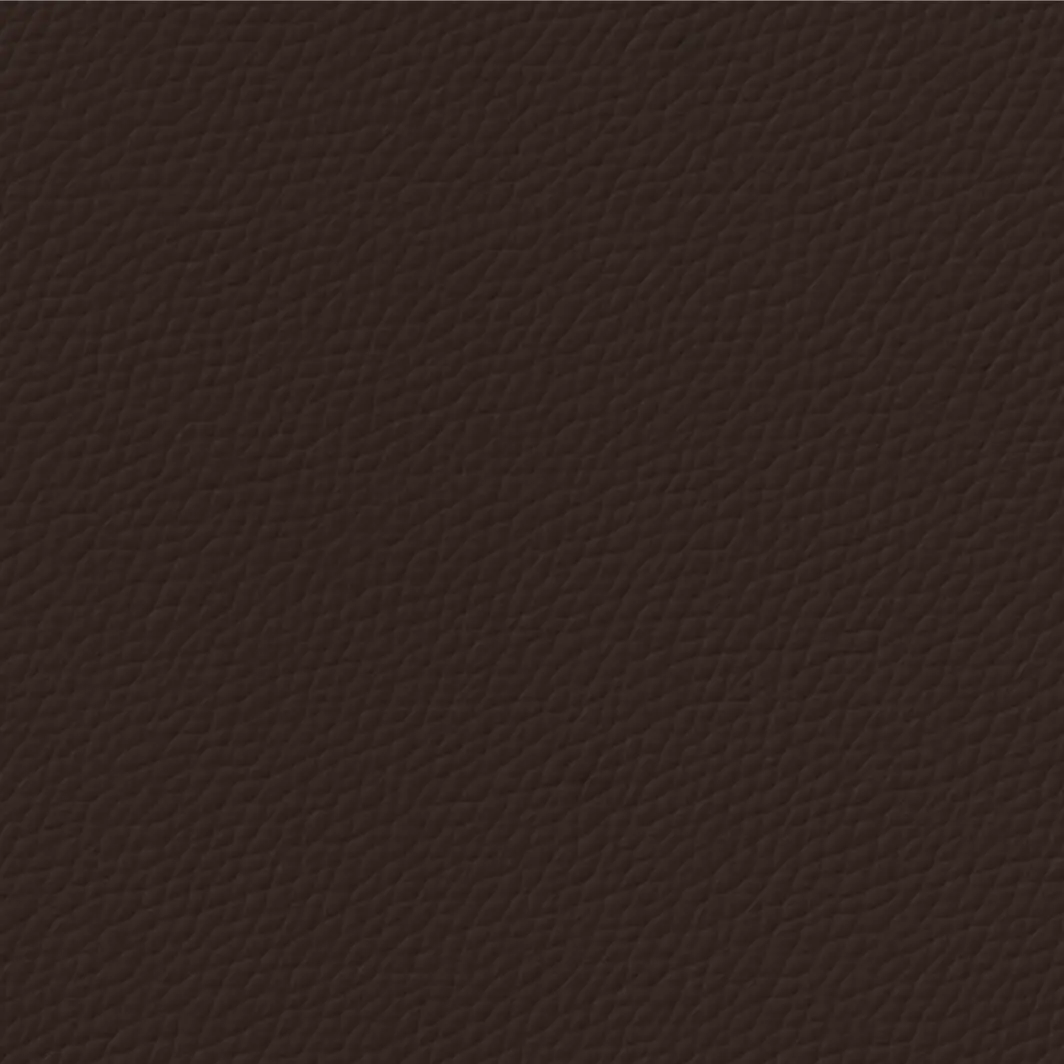 Close-up: Siena aniline leather texture, dark brown