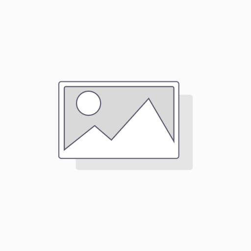 Customs Clearance — Switzerland